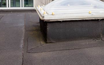 disadvantages of North Radworthy flat roofs